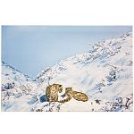 Картина 900*600 (ПГ)